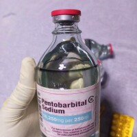 Buy Nembutal, Cocaine & Amphetamine (WhatsApp: +447386364678)